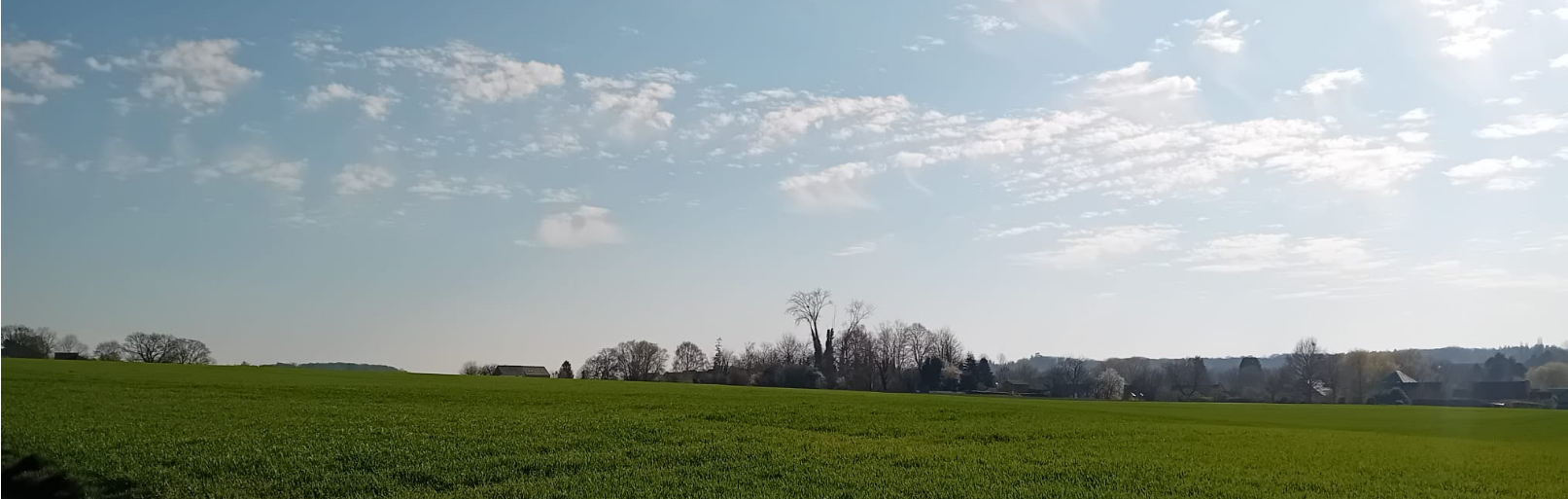 Préserver les paysages ruraux face à l’urbanisation : un enjeu sous-estimé