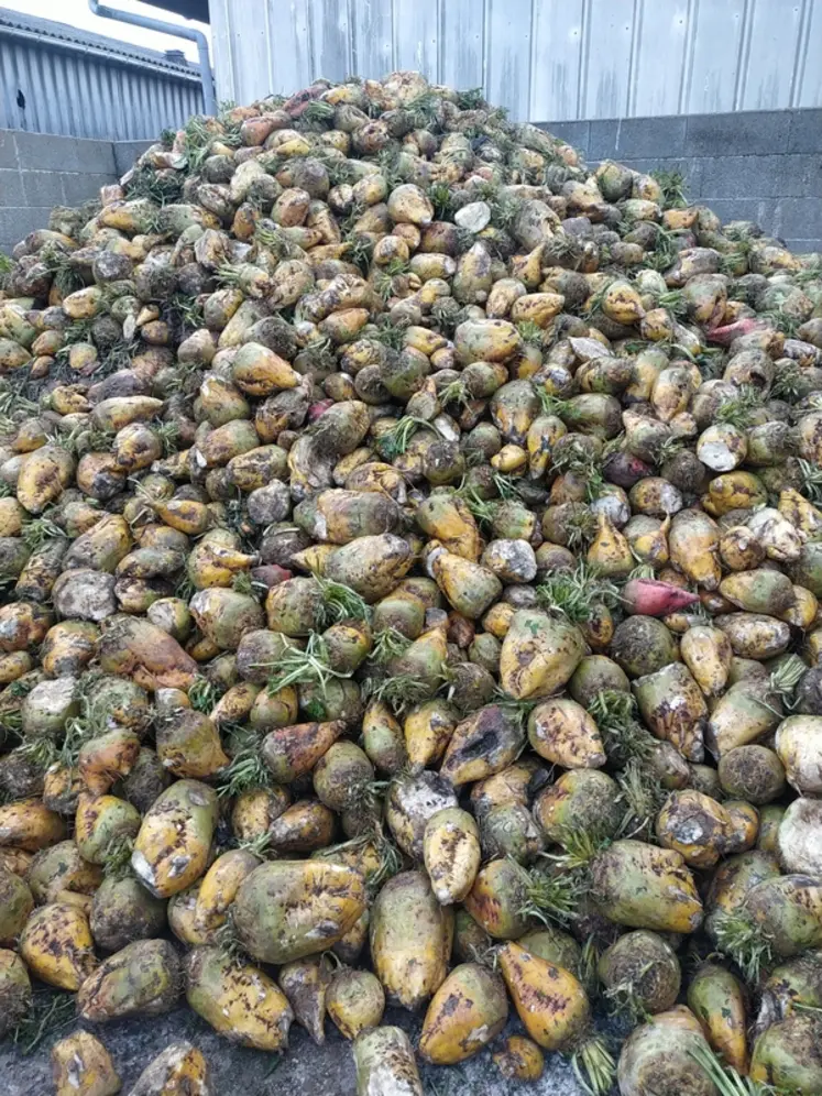 Boues de lavage agricoles : une question récurrente adressée au Ministre Coppieters